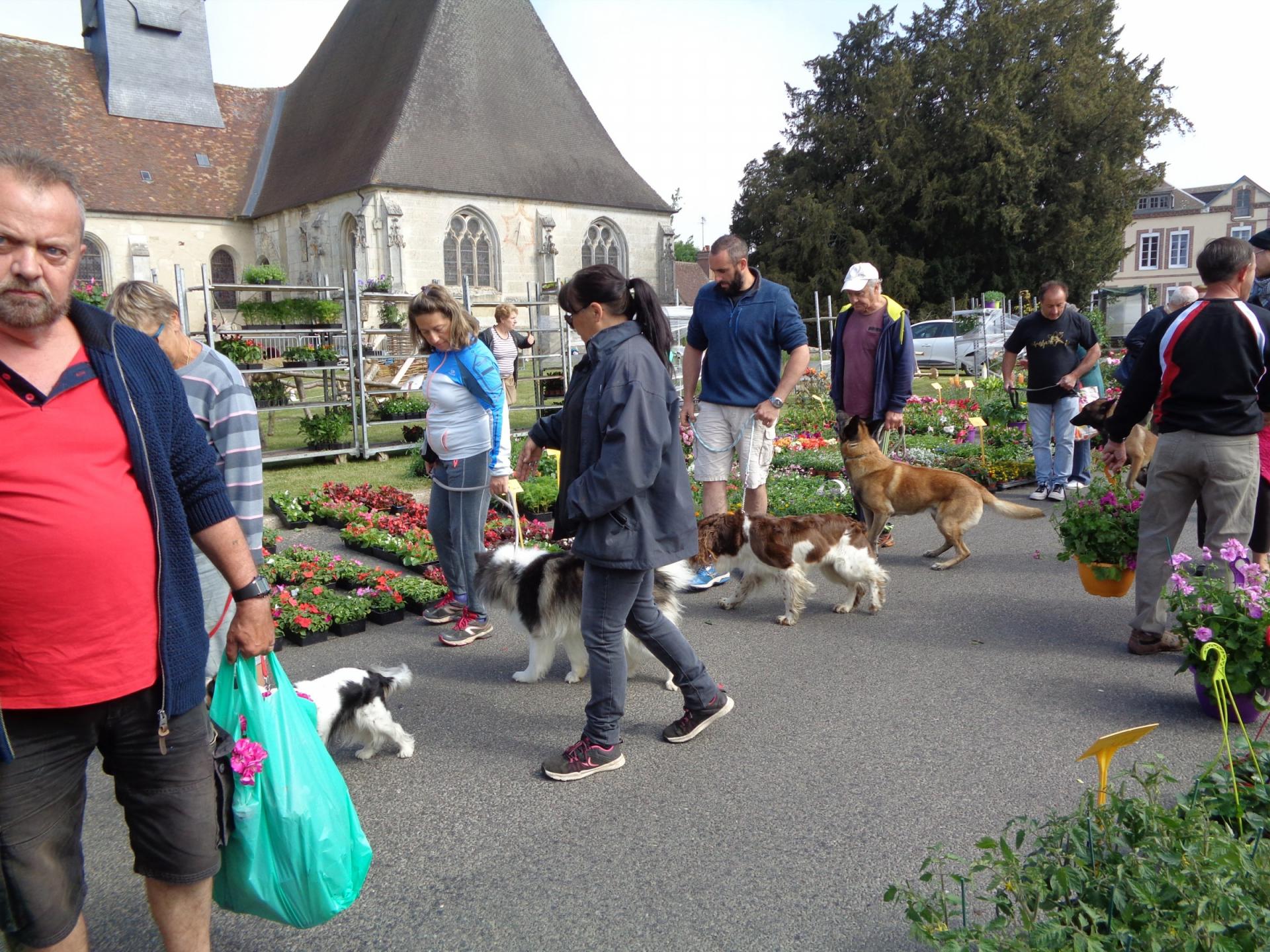 Fête de la Nature