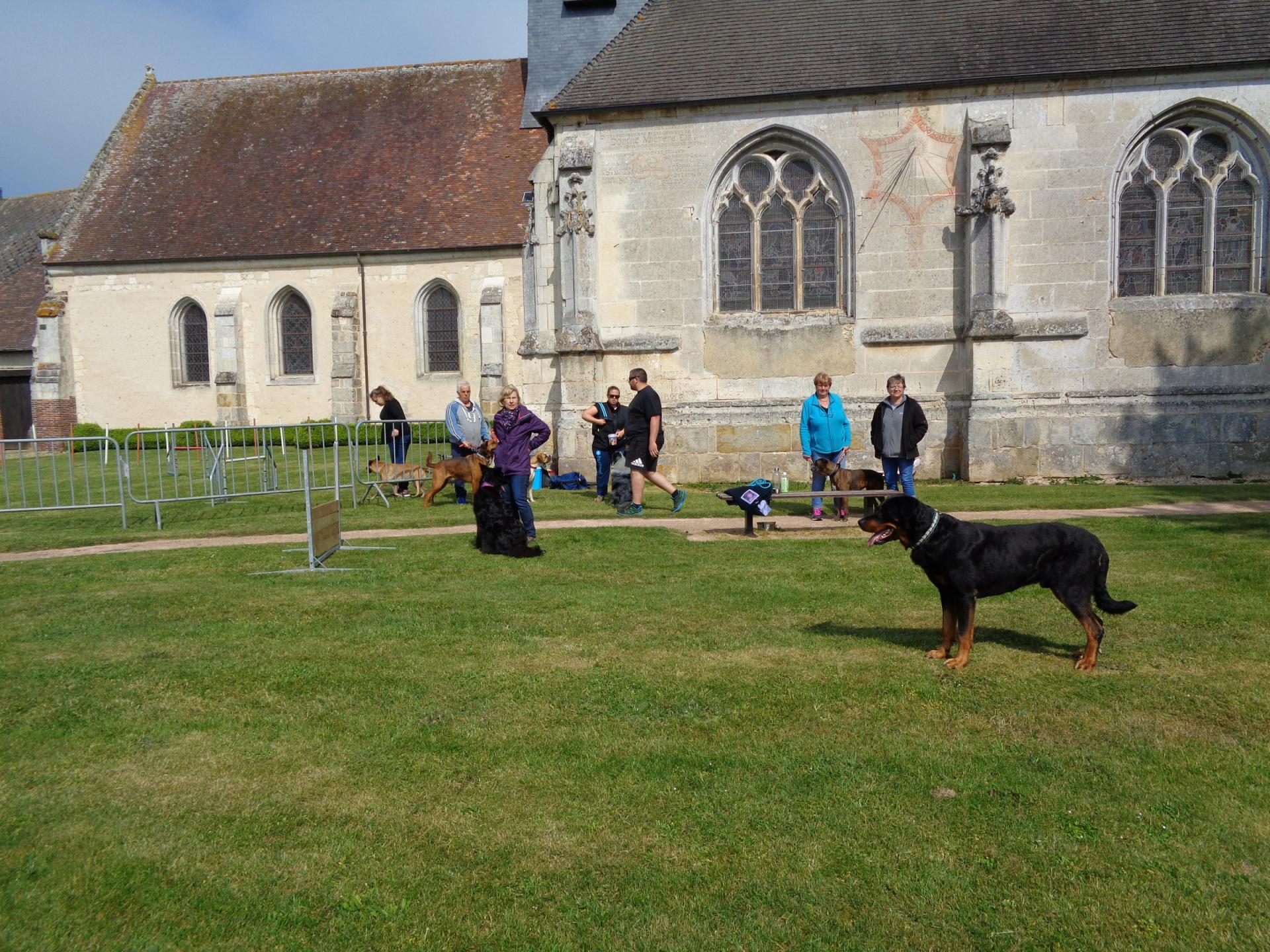 Club Canin du Fidelaire