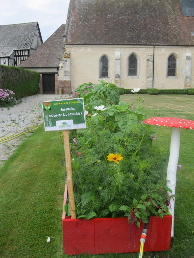 Parterre de l'église