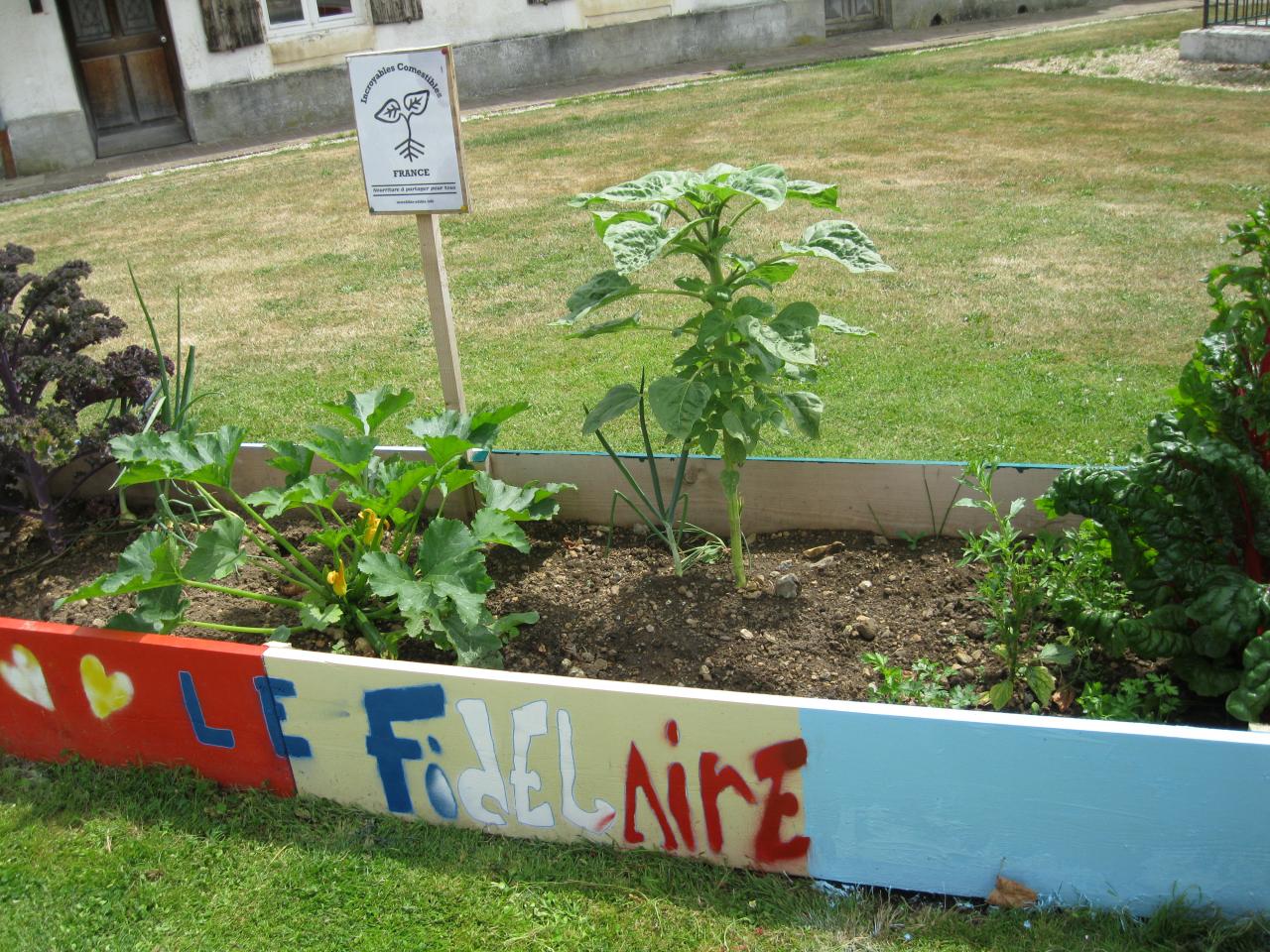 Nourriture à partager