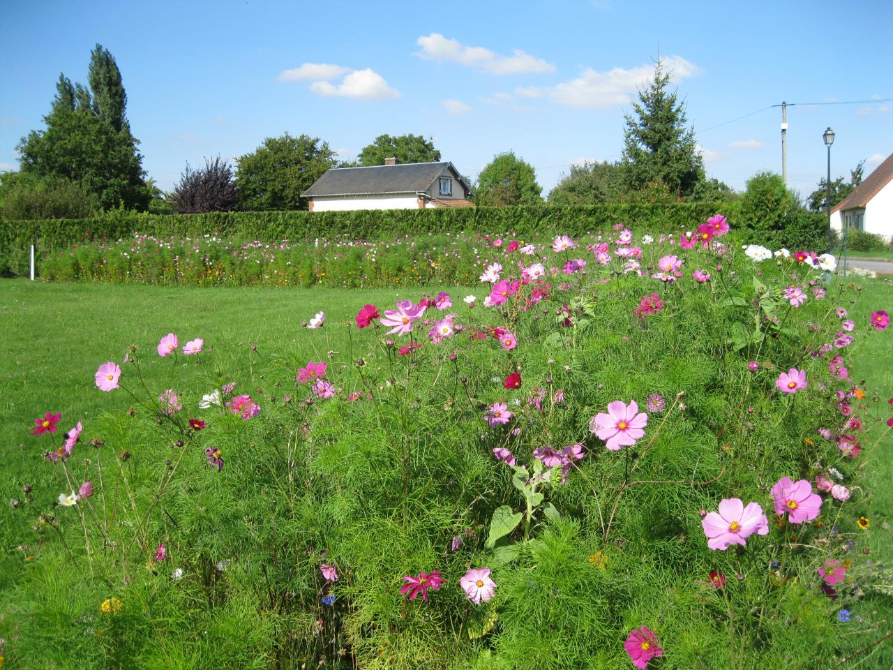 Terrain de boules