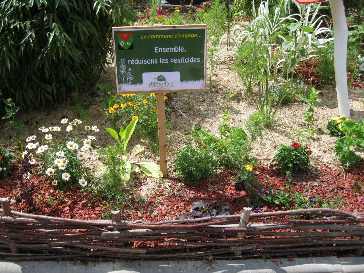 Parterre de la salle des fêtes