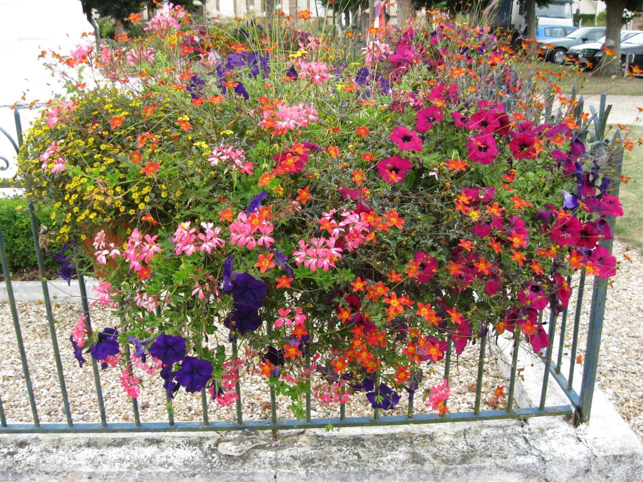 Jardinière du monument