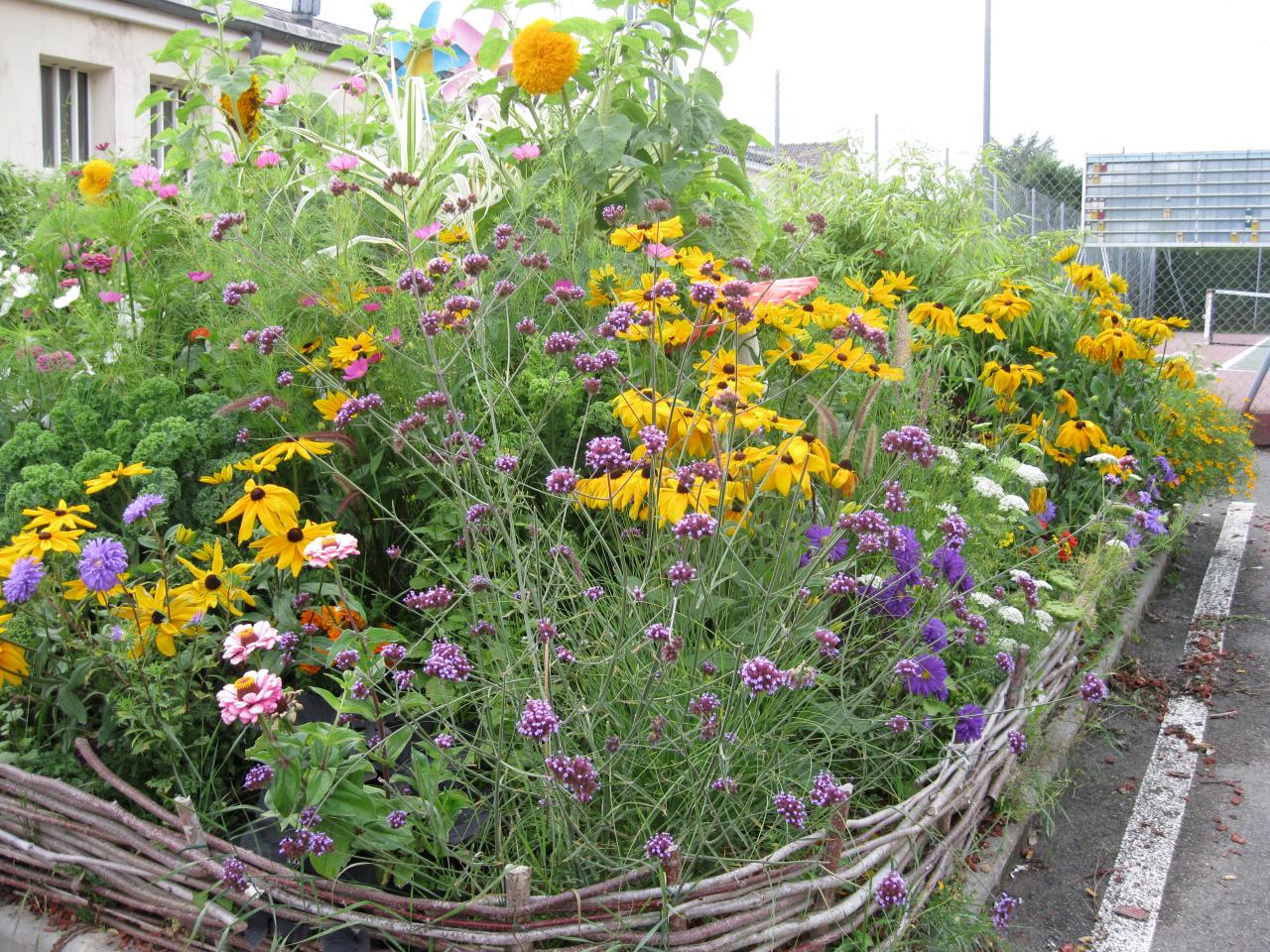 Parterre de la salle des fêtes