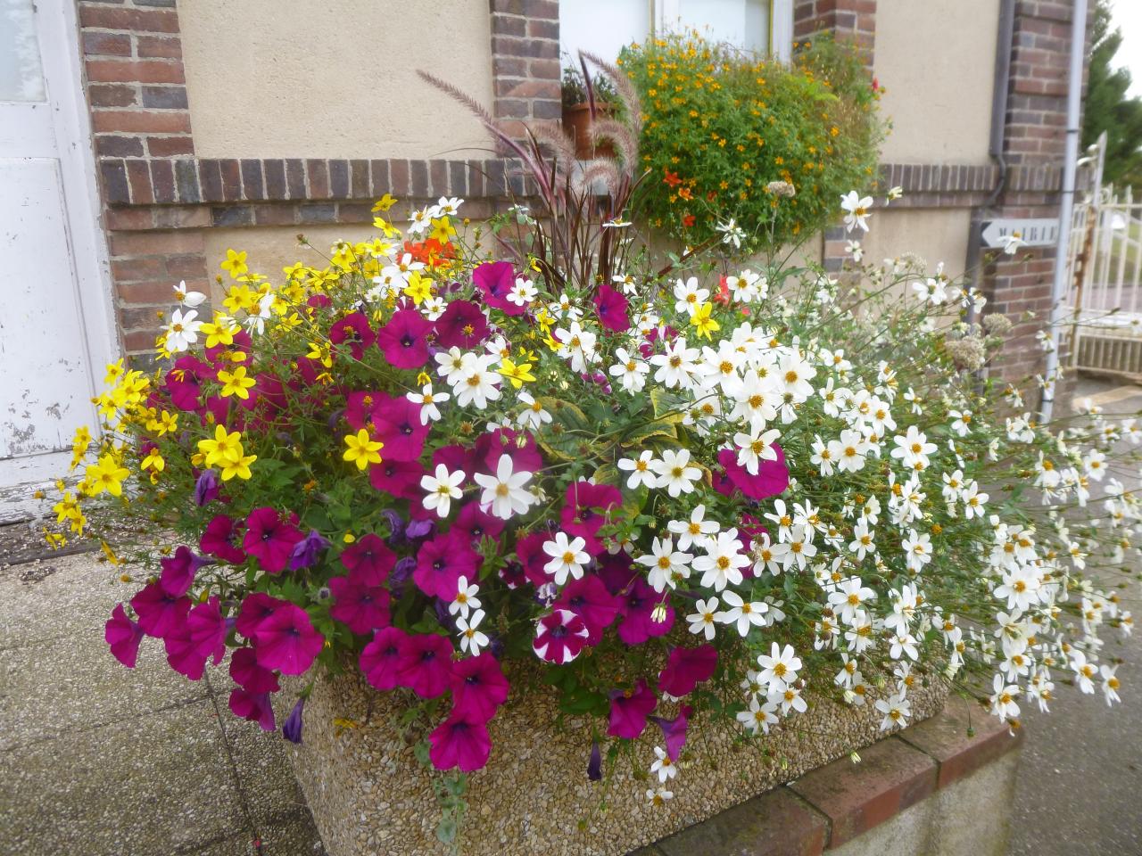 Jardinières mairie