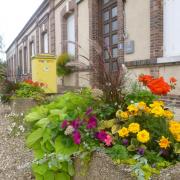 Jardinières mairie