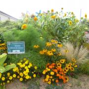 Parterre Tennis