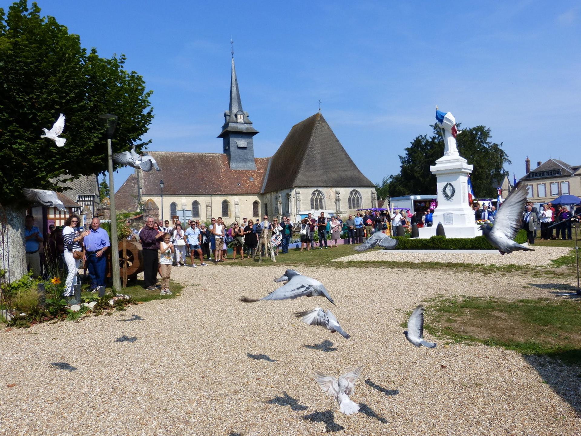 Lâcher de pigeons