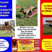 Concours national d'agility