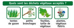 Dechets 20verts