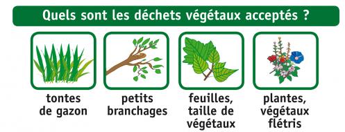 Dechets 20verts