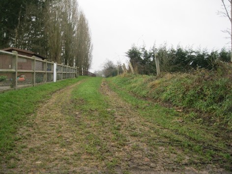 Chemin de l'escalier de pierre