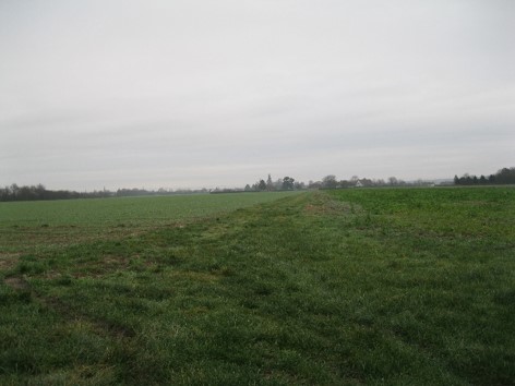 Chemin bas de la Balivière